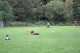Thumbs/tn_Bild 019.jpg